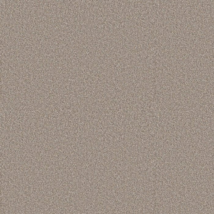 Pet Perfect Plus Refined Beauty Polyester Dawn Beige 00107
