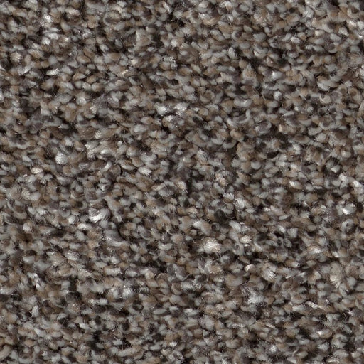 Pet Perfect Plus Refined Beauty Fint 00503