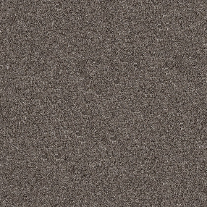 Pet Perfect Plus Refined Beauty Polyester Fint 00503