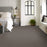 Pet Perfect Plus Refined Beauty Fint Textured 00503