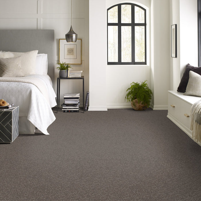 Pet Perfect Plus Refined Beauty Fint Textured 00503