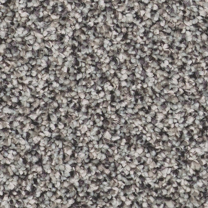 Pet Perfect Plus Refined Beauty London Fog 00502