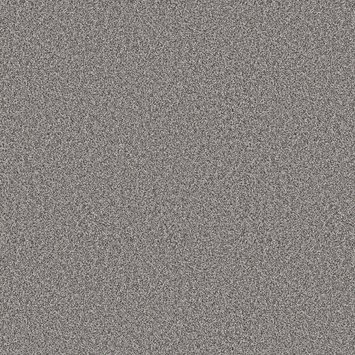 Pet Perfect Plus Refined Beauty Polyester London Fog 00502