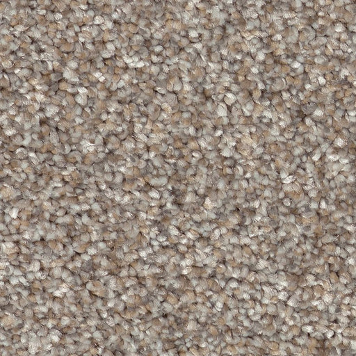 Pet Perfect Plus Refined Beauty Mushroom 00108