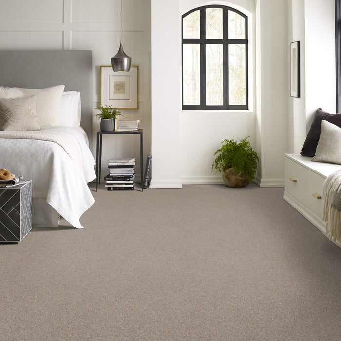 Pet Perfect Plus Refined Beauty Mushroom Textured 00108