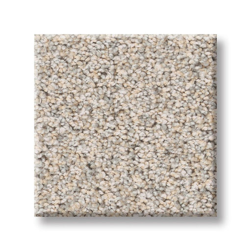 Pet Perfect Plus Refined Beauty Nuance 00111