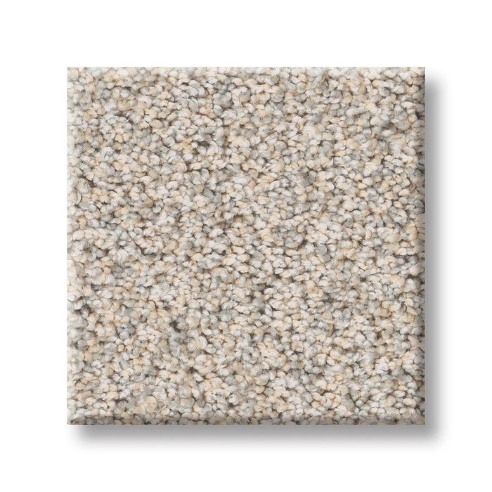 Pet Perfect Plus Refined Beauty Nuance 00111