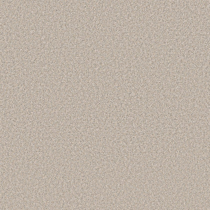Pet Perfect Plus Refined Beauty Polyester Nuance 00111