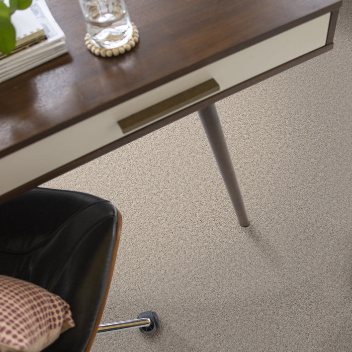Pet Perfect Plus Refined Beauty Nuance 00111 Textured Polyester