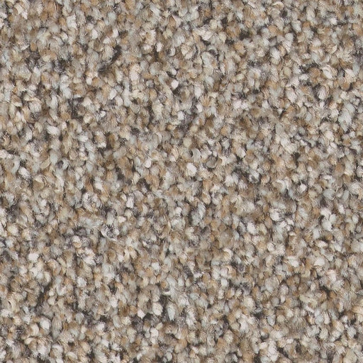 Pet Perfect Plus Refined Beauty Nutria 00109