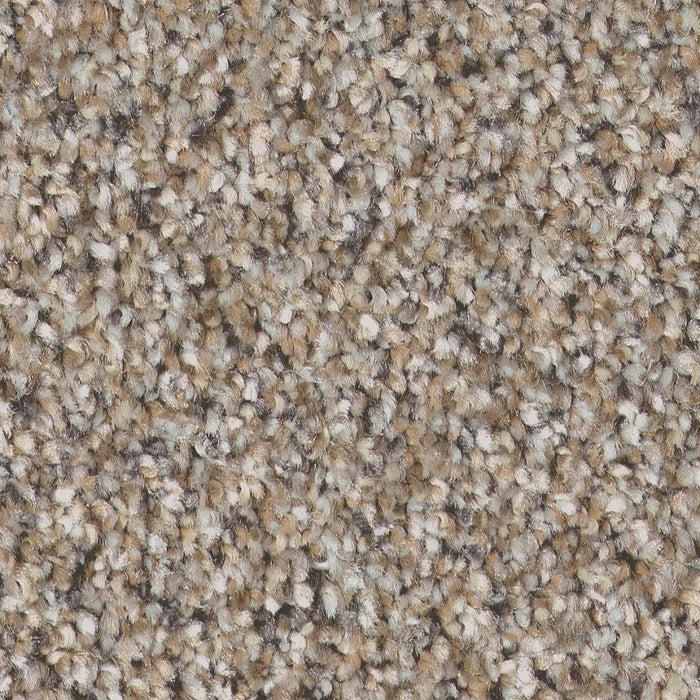 Pet Perfect Plus Refined Beauty Nutria 00109