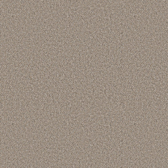 Pet Perfect Plus Refined Beauty Polyester Nutria 00109