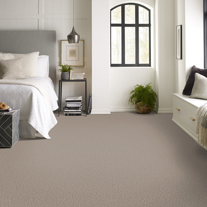 Pet Perfect Plus Refined Beauty Nutria Textured 00109