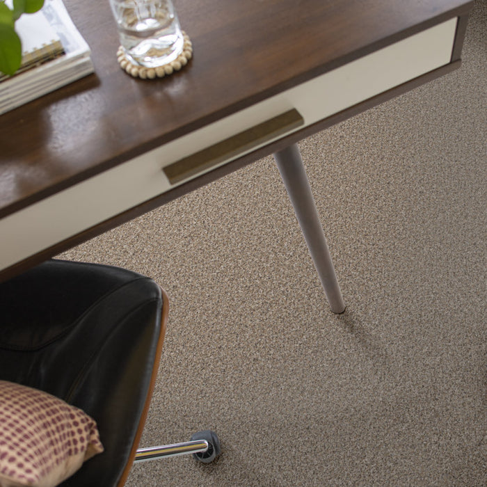 Pet Perfect Plus Refined Beauty Nutria 00109 Textured Polyester