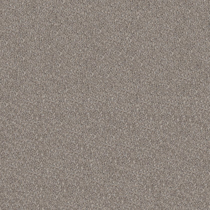 Pet Perfect Plus Refined Beauty Polyester Perfection 00105