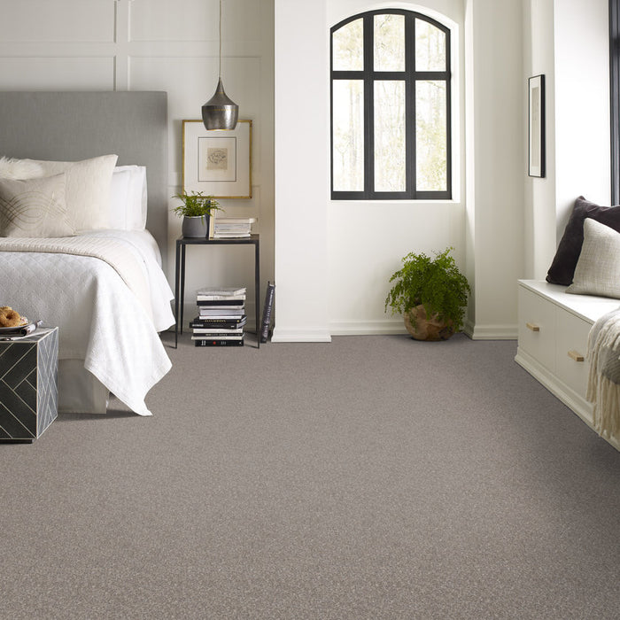 Pet Perfect Plus Refined Beauty Perfection Textured 00105