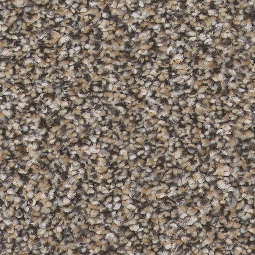 Pet Perfect Plus Refined Beauty Prairie 00702
