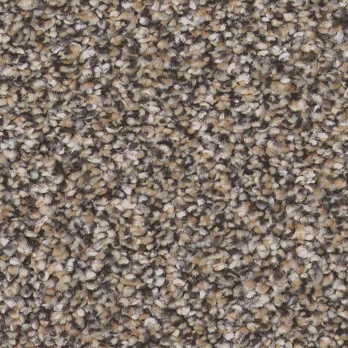 Pet Perfect Plus Refined Beauty Prairie 00702