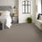 Pet Perfect Plus Refined Beauty Prairie Textured 00702