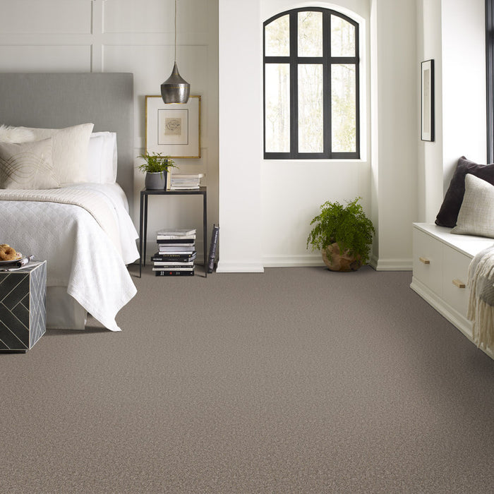 Pet Perfect Plus Refined Beauty Prairie Textured 00702