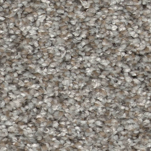 Pet Perfect Plus Refined Beauty River Rock 00500