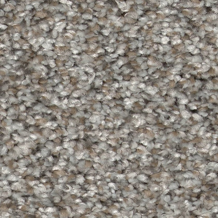 Pet Perfect Plus Refined Beauty River Rock 00500