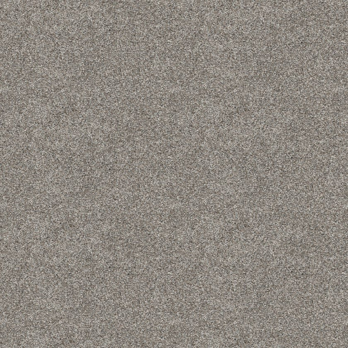 Pet Perfect Plus Refined Beauty Polyester River Rock 00500