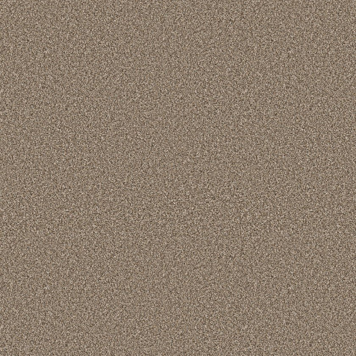 Pet Perfect Plus Refined Beauty Polyester Rodeo 00704