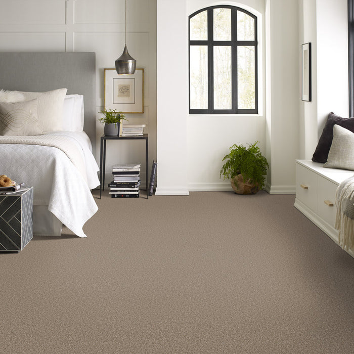 Pet Perfect Plus Refined Beauty Rodeo Textured 00704