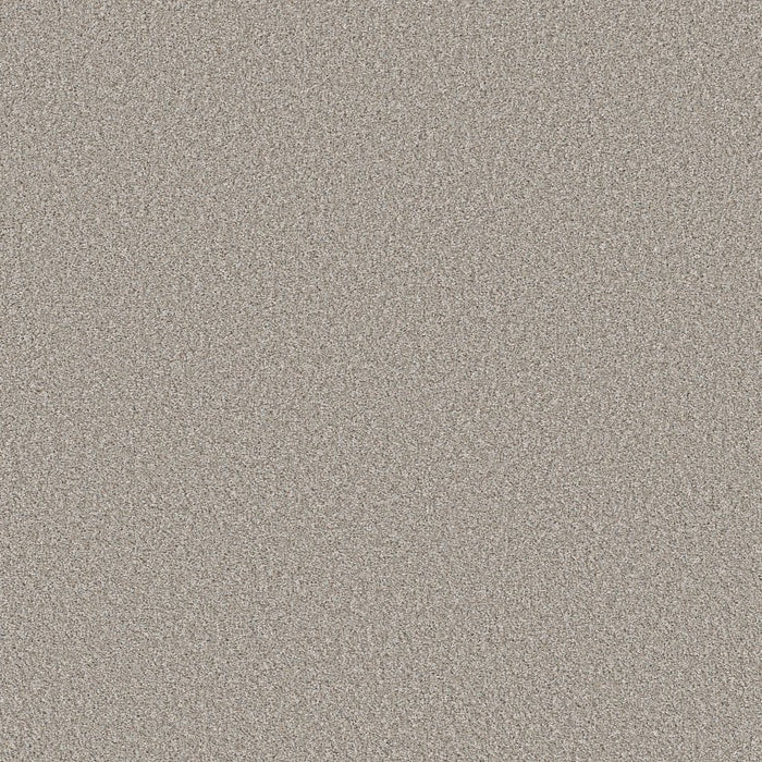 Pet Perfect Plus Refined Beauty Polyester Silver Mist 00510