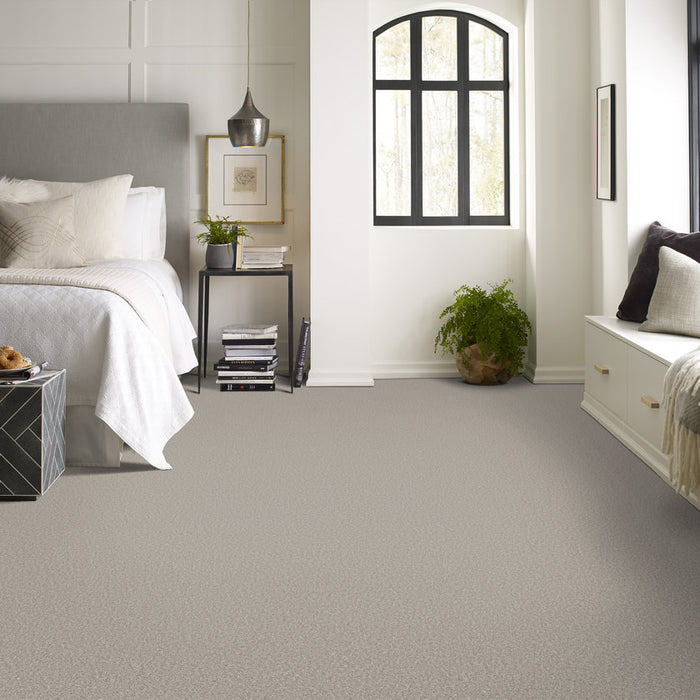 Pet Perfect Plus Refined Beauty Silver Mist Textured 00510