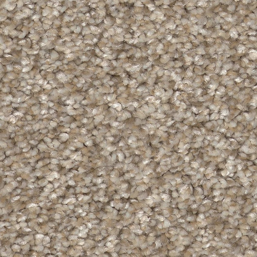 Pet Perfect Plus Refined Beauty Soft Sand 00106