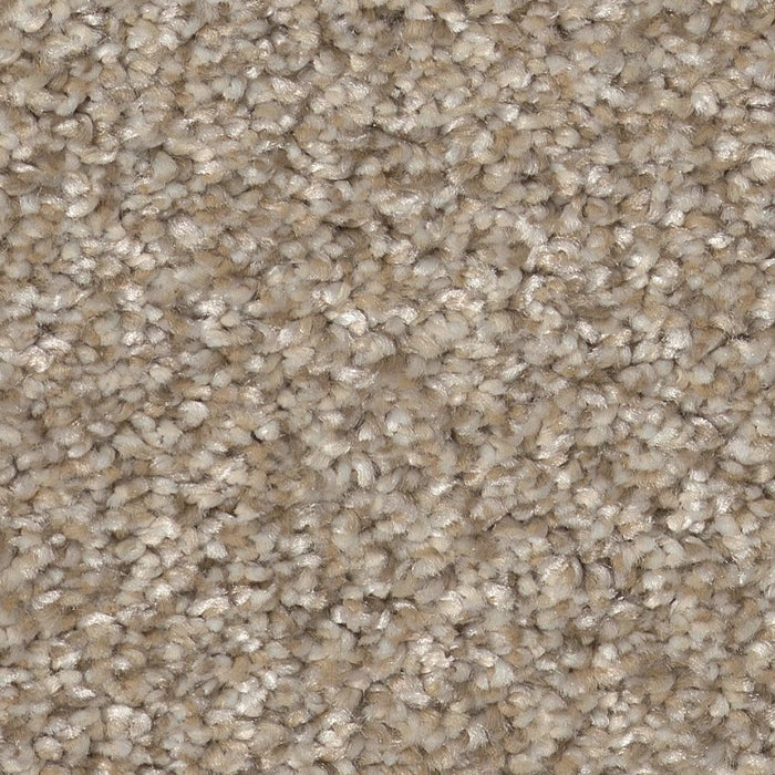 Pet Perfect Plus Refined Beauty Soft Sand 00106