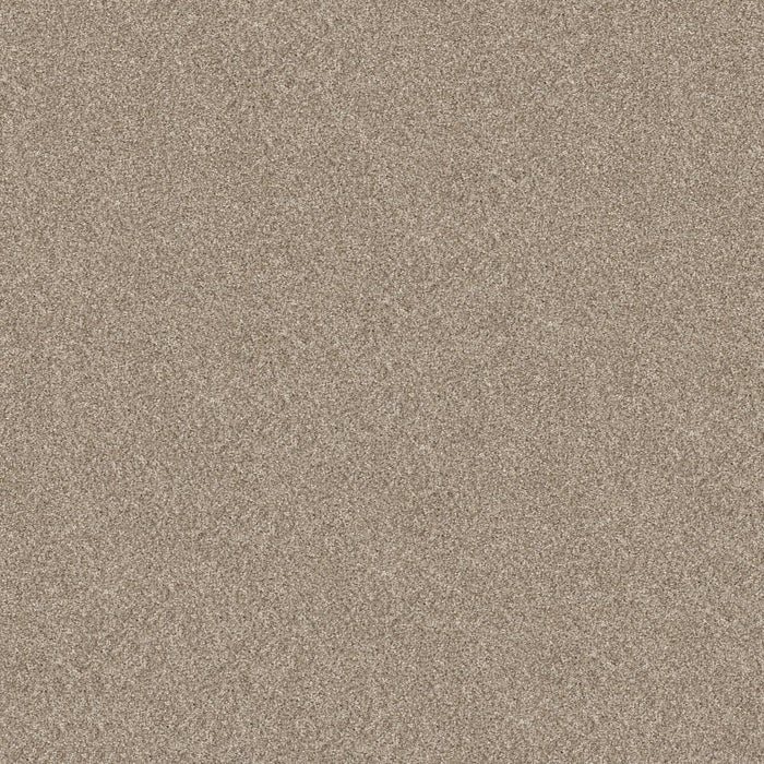 Pet Perfect Plus Refined Beauty Polyester Soft Sand 00106