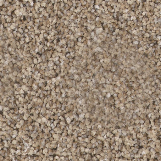 Pet Perfect Plus Refined Beauty Summer Straw 00200