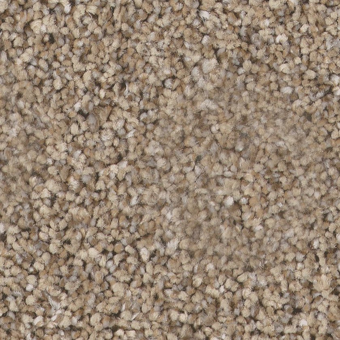 Pet Perfect Plus Refined Beauty Summer Straw 00200