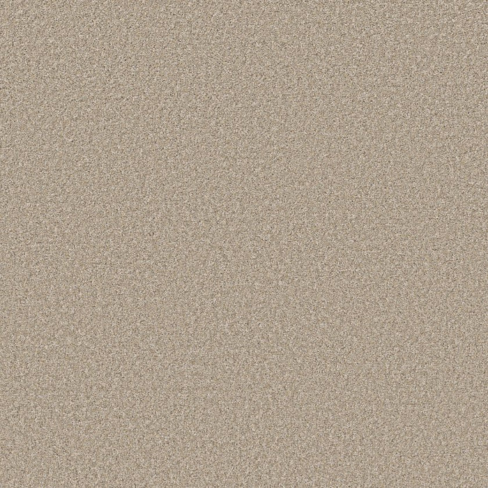 Pet Perfect Plus Refined Beauty Polyester Warm Glow 00110