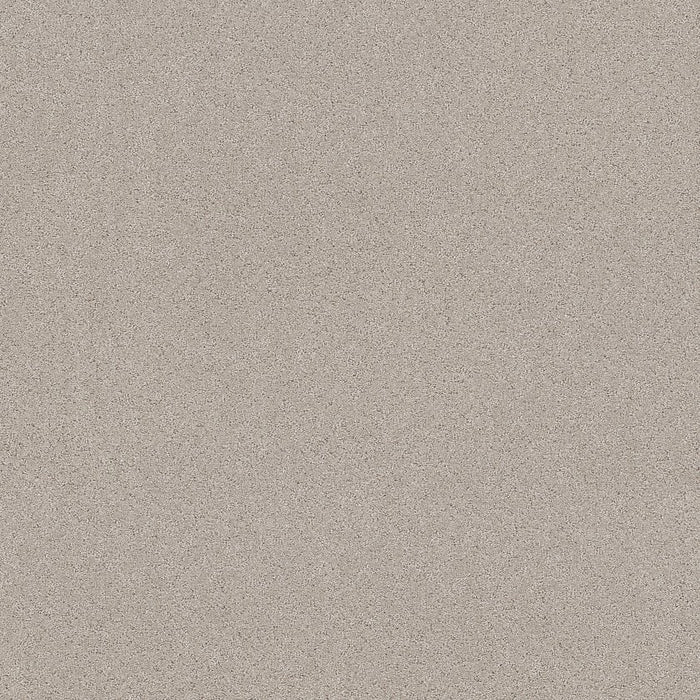 Pet Perfect Plus Secret Adventure Polyester Beige Mist 00121