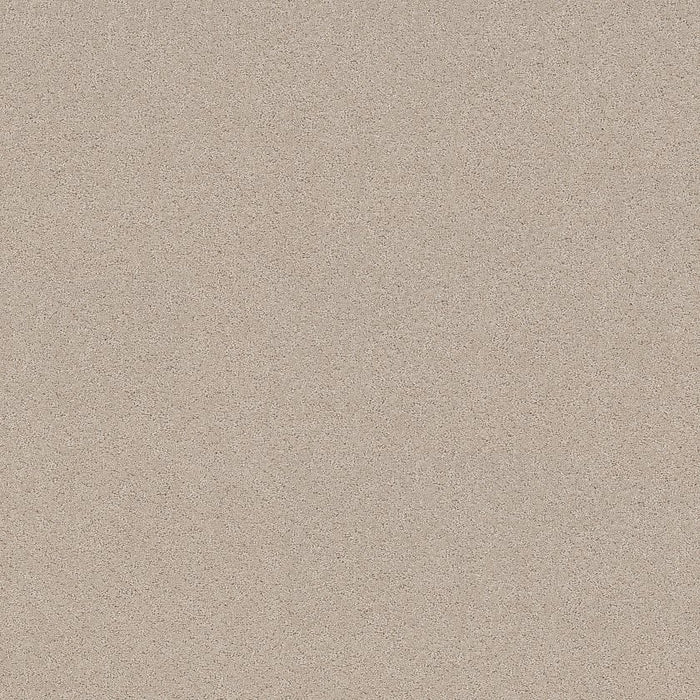 Pet Perfect Plus Secret Adventure Polyester Cafe Latte 00122