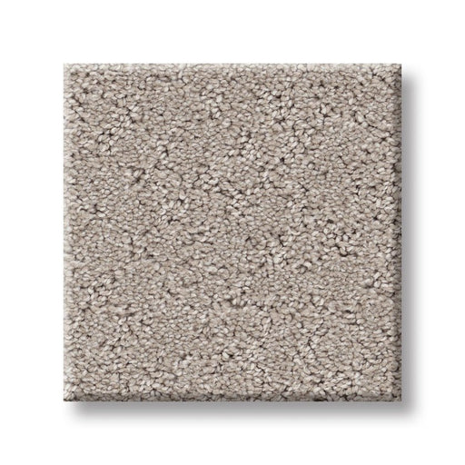 Pet Perfect Plus Secret Adventure Chic Taupe 00124