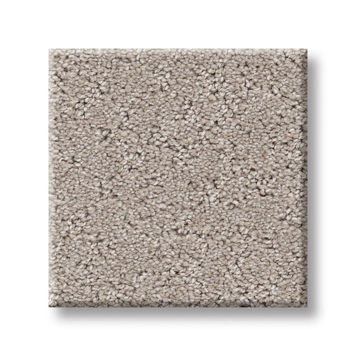 Pet Perfect Plus Secret Adventure Chic Taupe 00124