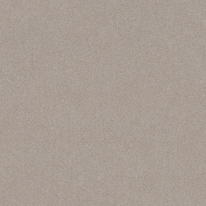 Pet Perfect Plus Secret Adventure Polyester Chic Taupe 00124