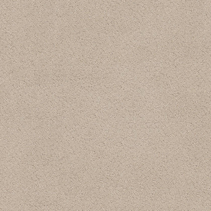 Pet Perfect Plus Secret Adventure Polyester Dune View 00120