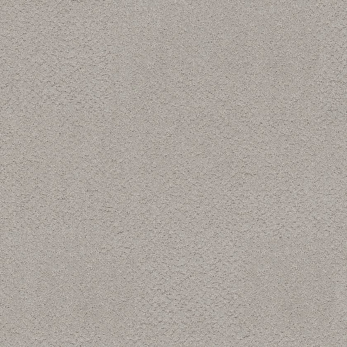 Pet Perfect Plus Secret Adventure Polyester Four Winds 00520
