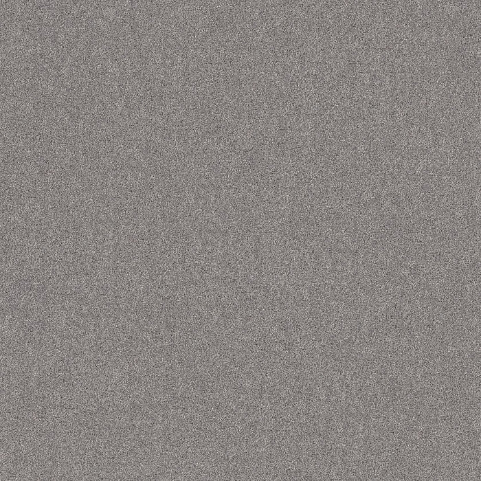 Pet Perfect Plus Secret Adventure Polyester Graphic 00522