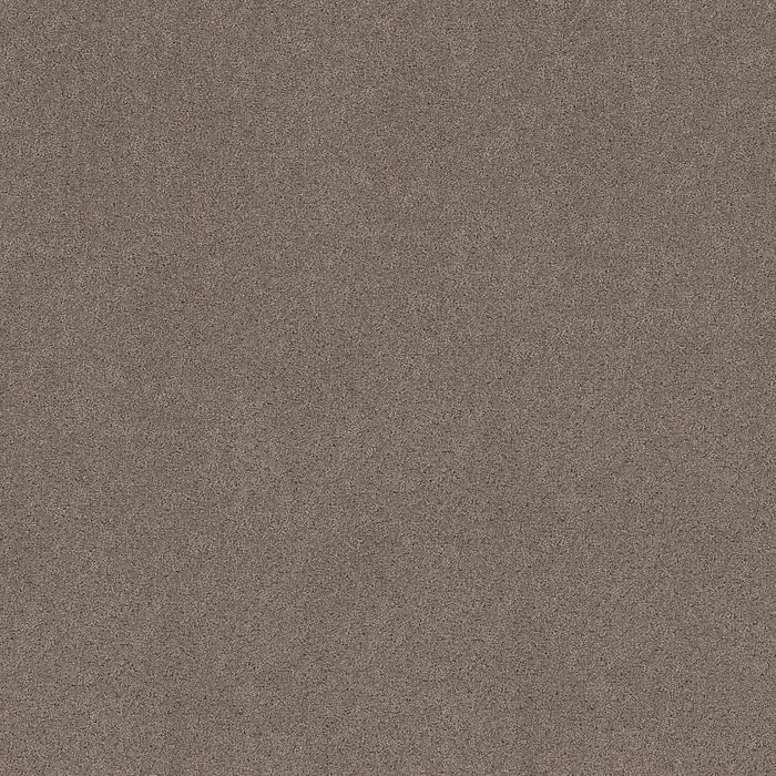 Pet Perfect Plus Secret Adventure Polyester Hideaway 00722