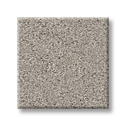 Pet Perfect Plus Secret Adventure Marble 00523