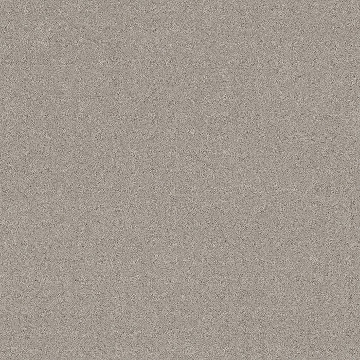 Pet Perfect Plus Secret Adventure Polyester Marble 00523