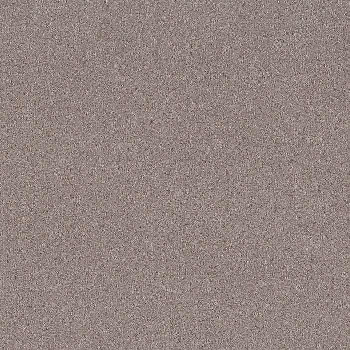 Pet Perfect Plus Secret Adventure Polyester Mocha 00721