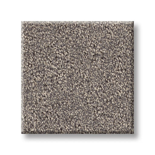 Pet Perfect Plus Secret Adventure Shadows 00524